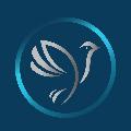 My Website